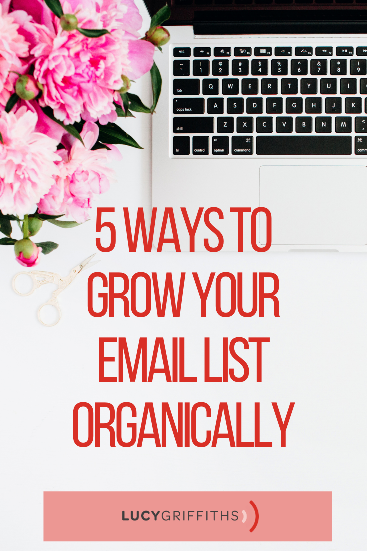 5 Ways to Grow Your Email List Organically to Grow Your Business