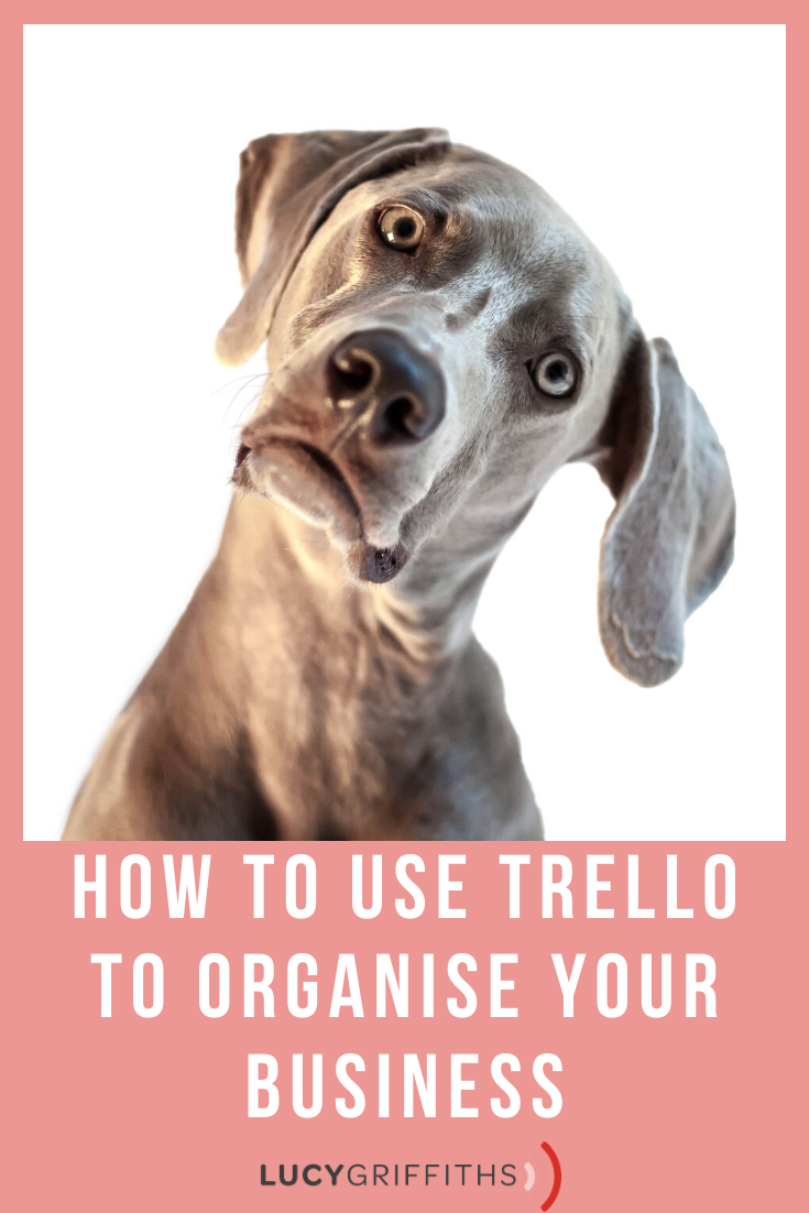 Trello to organize your business