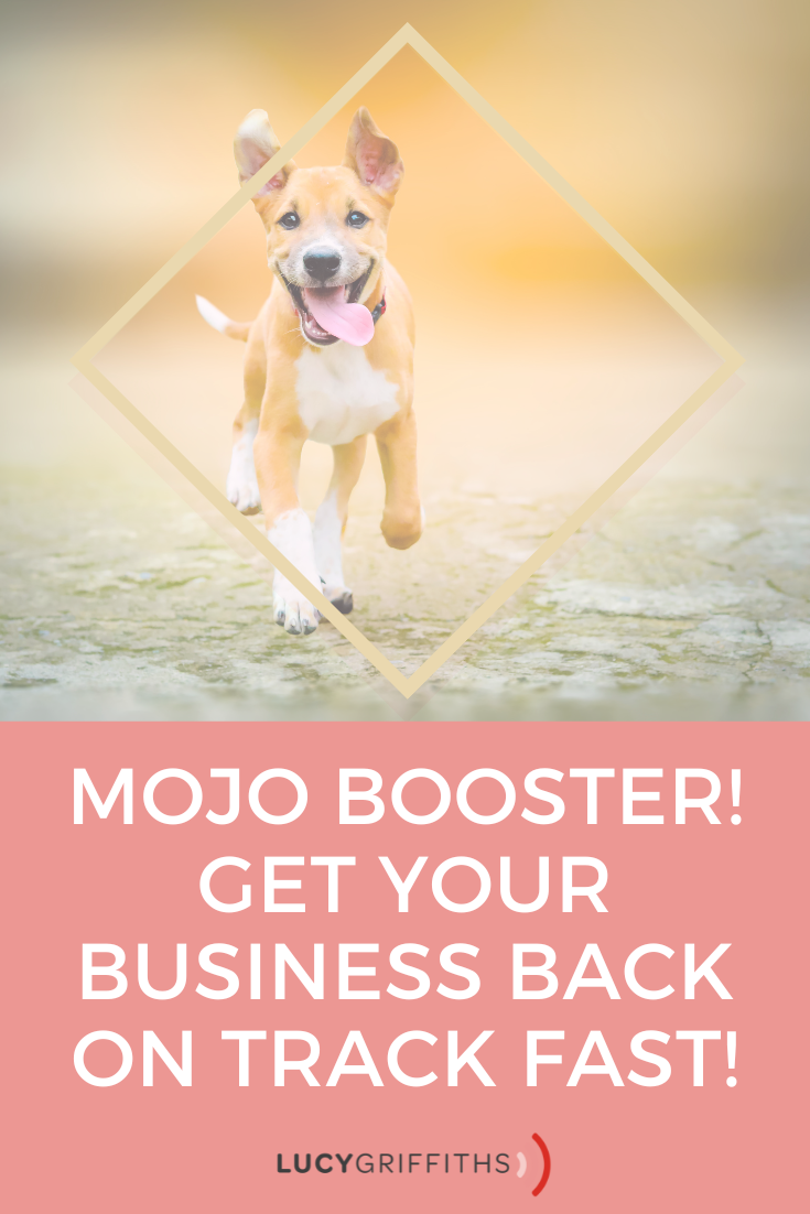 3 Instant Mojo Boosters for Solopreneurs Get Your Business Back on Track Fast!