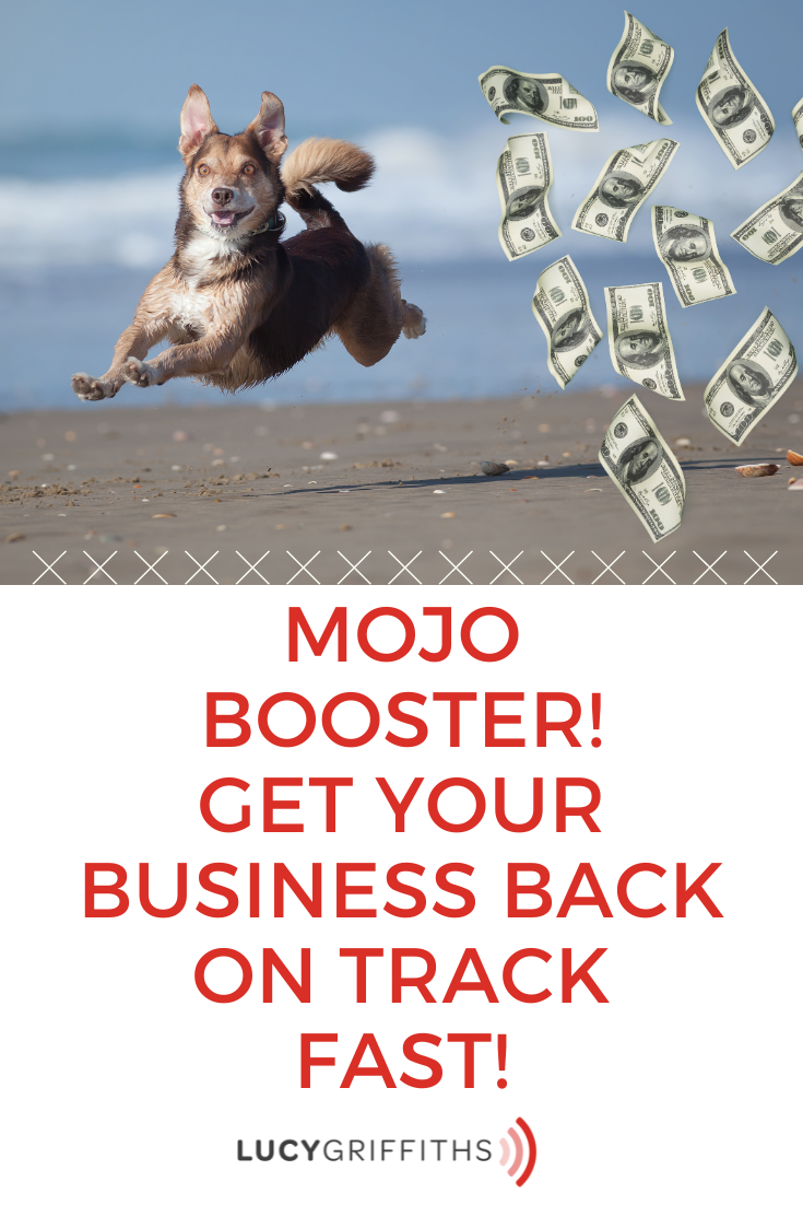 3 Instant Mojo Boosters for Solopreneurs Get Your Business Back on Track Fast!